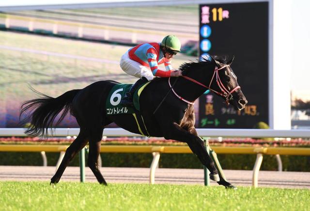 Pog速報 現在の19有力2歳馬ランキング Vol 9 ごんぬの競馬予想